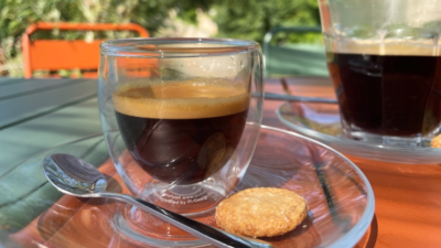 L’Arbre du Voyageur