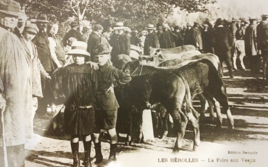 Foire des Hérolles