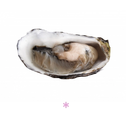 French oysters