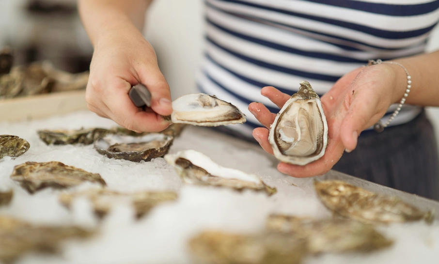 French oysters