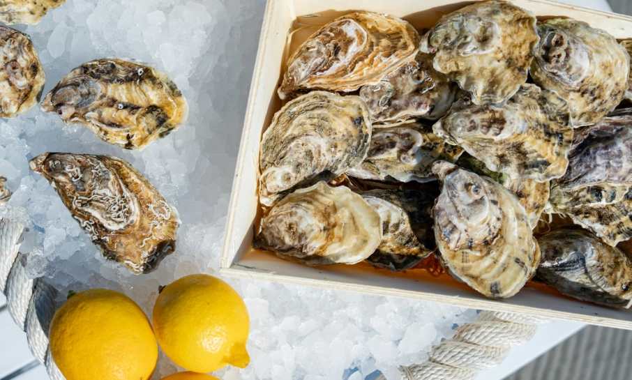 French oysters