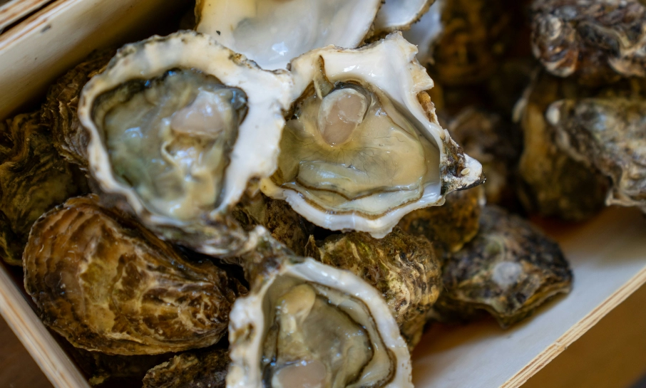 French oysters