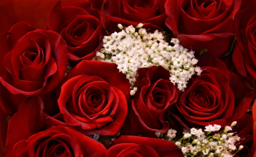 Valentine's Day in France