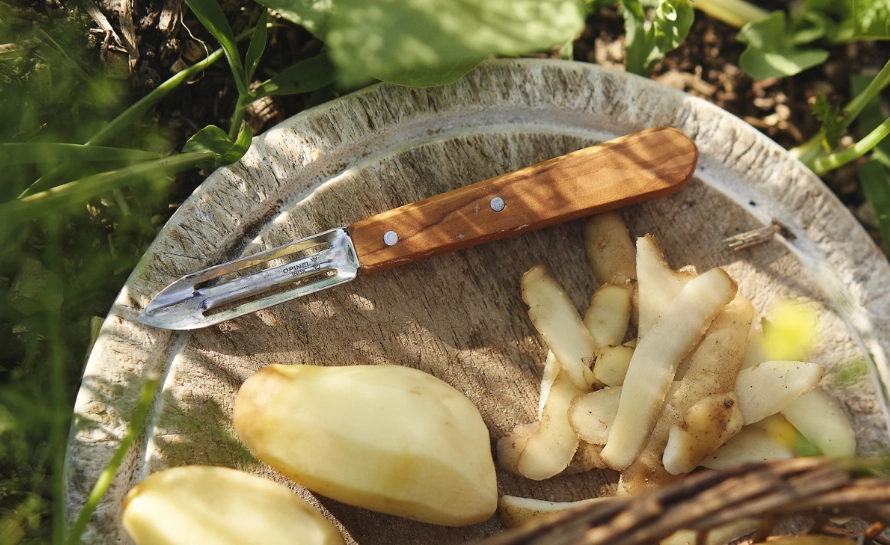 French kitchen knives