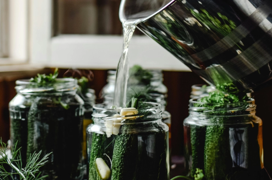 Home preserving food