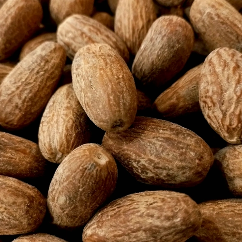 Nutmeg