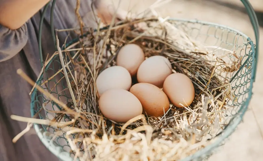 how long to boil eggs