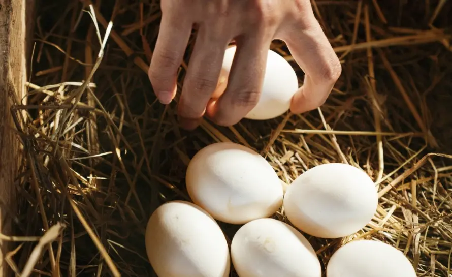 how long to boil eggs