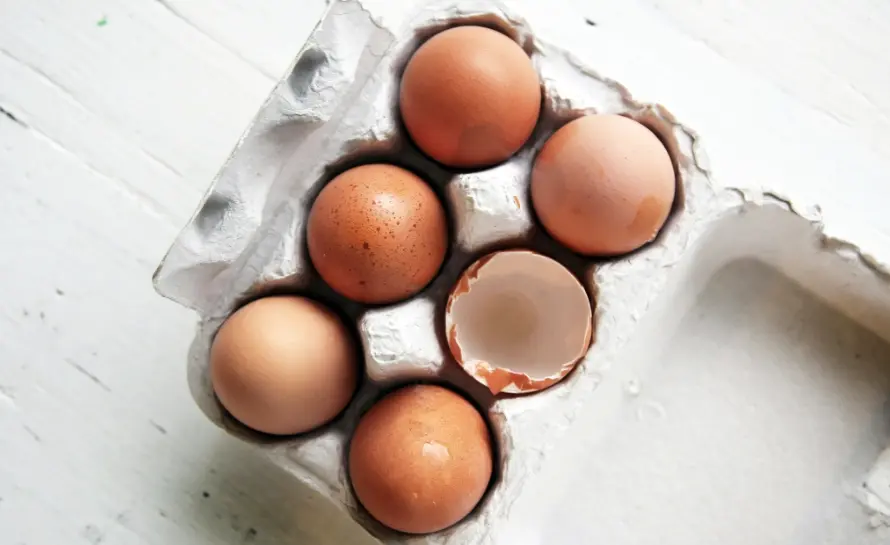 how to store eggs